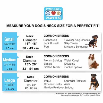 Show full view: Pawtitas Reflective Martingale Dog Collar, Black, Small slide 7 of 10