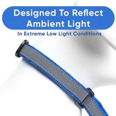Show full view: Pawtitas Reflective Martingale Dog Collar, Blue, Large slide 4 of 10