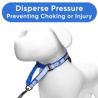 Show full view: Pawtitas Reflective Martingale Dog Collar, Blue, Large slide 5 of 10