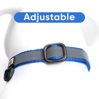 Show full view: Pawtitas Reflective Martingale Dog Collar, Blue, Large slide 6 of 10