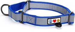 Pawtitas Reflective Martingale Dog Collar, Blue, Medium