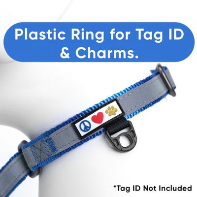 Show full view: Pawtitas Reflective Martingale Dog Collar, Blue, Medium slide 4 of 11