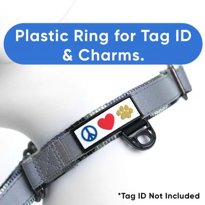 Show full view: Pawtitas Reflective Martingale Dog Collar, Camo Grey, Medium slide 4 of 11