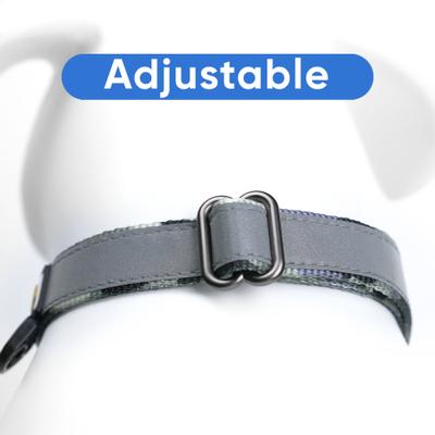 Show full view: Pawtitas Reflective Martingale Dog Collar, Camo Grey, Medium slide 7 of 11