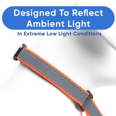 Show full view: Pawtitas Reflective Martingale Dog Collar, Orange, Medium slide 4 of 10
