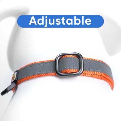 Show full view: Pawtitas Reflective Martingale Dog Collar, Orange, Medium slide 6 of 10