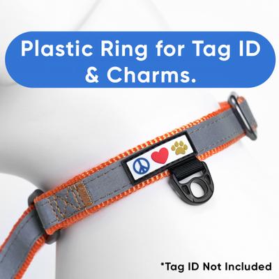 Show full view: Pawtitas Reflective Martingale Dog Collar, Orange, Small slide 4 of 11