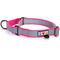 Show in main carousel: Pawtitas Reflective Martingale Dog Collar, Pink, Small slide 1 of 10