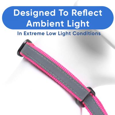 Show full view: Pawtitas Reflective Martingale Dog Collar, Pink, Small slide 4 of 10