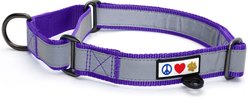 Pawtitas Reflective Martingale Dog Collar, Purple, Large