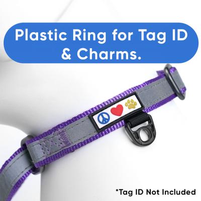 Show full view: Pawtitas Reflective Martingale Dog Collar, Purple, Large slide 4 of 11