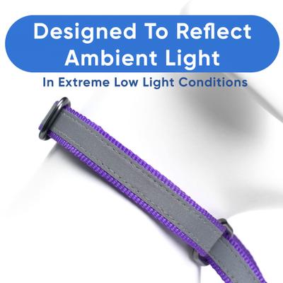 Show full view: Pawtitas Reflective Martingale Dog Collar, Purple, Large slide 5 of 11
