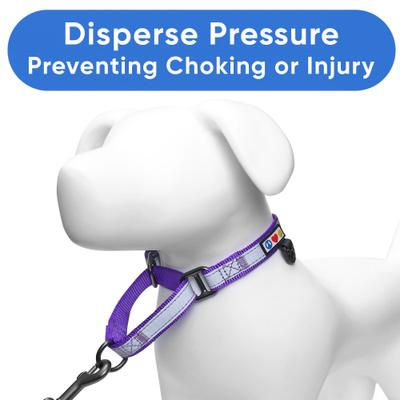 Show full view: Pawtitas Reflective Martingale Dog Collar, Purple, Large slide 6 of 11