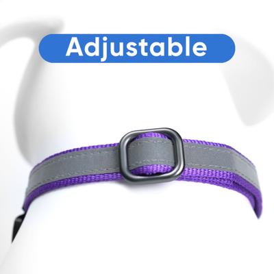 Show full view: Pawtitas Reflective Martingale Dog Collar, Purple, Large slide 7 of 11