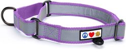 Pawtitas Reflective Martingale Dog Collar, Purple Orchid, Small: 11 to 16-in neck, 5/8-in wide