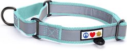 Pawtitas Reflective Martingale Dog Collar, Teal, Small