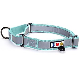 Pawtitas Reflective Martingale Dog Collar, Teal, Small
