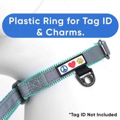 Show full view: Pawtitas Reflective Martingale Dog Collar, Teal, Small slide 3 of 10