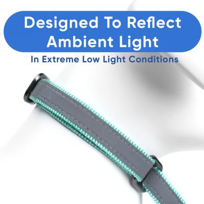 Show full view: Pawtitas Reflective Martingale Dog Collar, Teal, Small slide 4 of 10