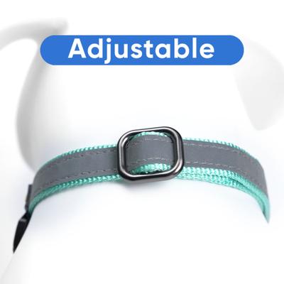 Show full view: Pawtitas Reflective Martingale Dog Collar, Teal, Small slide 6 of 10