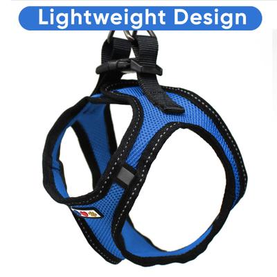 Show full view: Pawtitas Reflective Mesh Dog Harness, Blue, X-Small slide 5 of 10