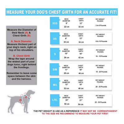 Show full view: Pawtitas Reflective Mesh Dog Harness, Blue, X-Small slide 6 of 10