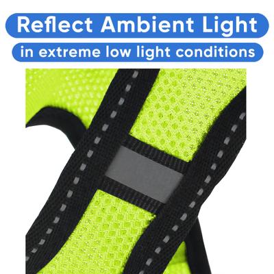 Show full view: Pawtitas Reflective Mesh Dog Harness, Green, Small slide 4 of 10
