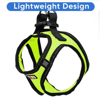 Show full view: Pawtitas Reflective Mesh Dog Harness, Green, Small slide 5 of 10