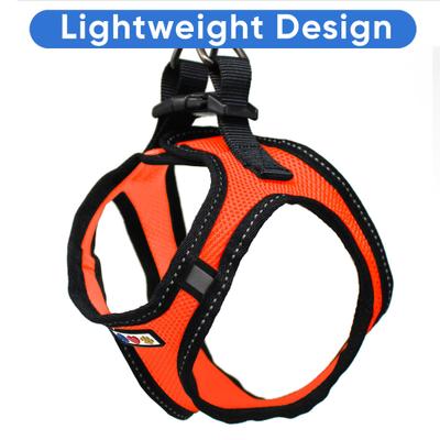 Show full view: Pawtitas Reflective Mesh Dog Harness, Orange, Medium slide 5 of 10