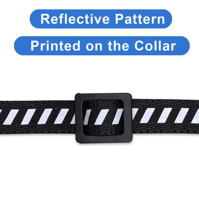 Show full view: Pawtitas Reflective Traffic Cat Collar, Black, Standard slide 5 of 9