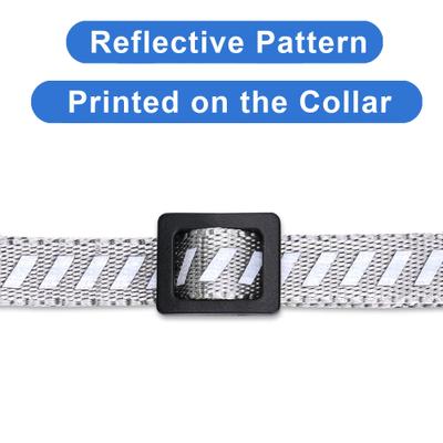 Show full view: Pawtitas Reflective Traffic Cat Collar, Grey, Standard slide 5 of 9
