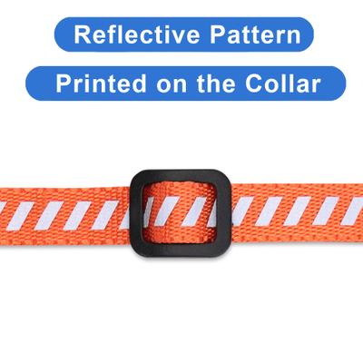 Show full view: Pawtitas Reflective Traffic Cat Collar, Orange, Standard slide 5 of 9