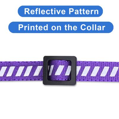Show full view: Pawtitas Reflective Traffic Cat Collar, Purple, Standard slide 5 of 9