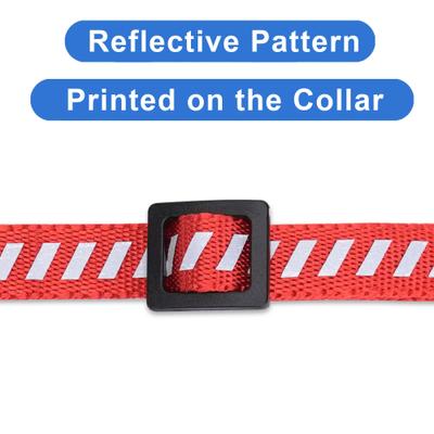 Show full view: Pawtitas Reflective Traffic Cat Collar, Red, Standard slide 6 of 10