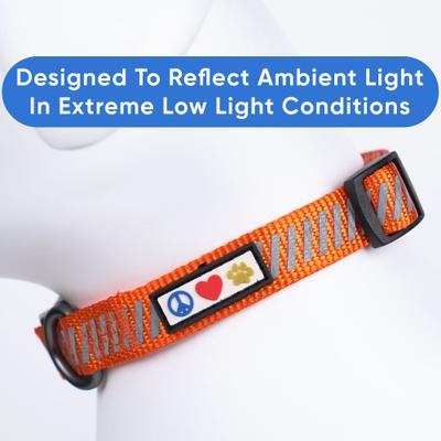Show full view: Pawtitas Reflective Traffic Dog Collar, Orange, Small slide 6 of 7