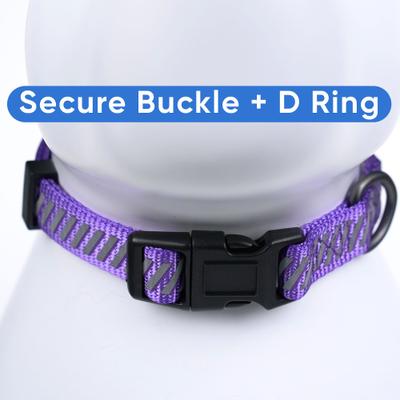 Show full view: Pawtitas Reflective Traffic Dog Collar, Purple, Small slide 5 of 8