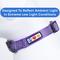 Show in main carousel: Pawtitas Reflective Traffic Dog Collar, Purple, Small slide 7 of 8