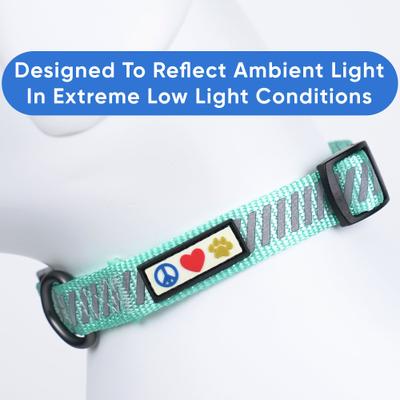 Show full view: Pawtitas Reflective Traffic Dog Collar, Teal, Small slide 6 of 7