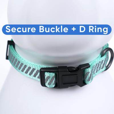 Show full view: Pawtitas Reflective Traffic Dog Collar, Teal, X-Small slide 4 of 7