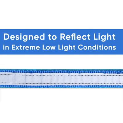 Show full view: Pawtitas Soft Adjustable Reflective Padded Dog Collar, Blue, Medium/Large: 14 to 20-in neck, 3/4-in wide slide 5 of 13