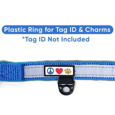 Show full view: Pawtitas Soft Adjustable Reflective Padded Dog Collar, Blue, Medium/Large: 14 to 20-in neck, 3/4-in wide slide 8 of 13