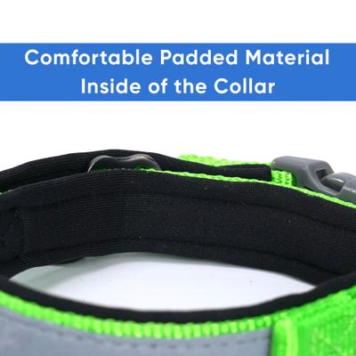 Show full view: Pawtitas Soft Adjustable Reflective Padded Dog Collar, Green, Large/X-Large: 19 to 25-in neck, 1-in wide slide 6 of 13