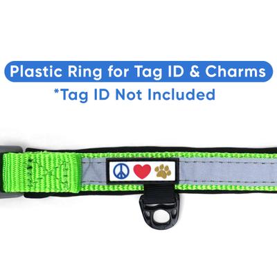 Show full view: Pawtitas Soft Adjustable Reflective Padded Dog Collar, Green, Large/X-Large: 19 to 25-in neck, 1-in wide slide 8 of 13