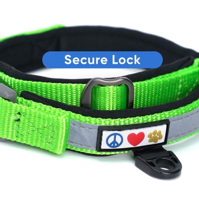 Show full view: Pawtitas Soft Adjustable Reflective Padded Dog Collar, Green, Medium/Large: 14 to 20-in neck, 3/4-in wide slide 6 of 12