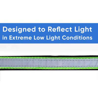 Show full view: Pawtitas Soft Adjustable Reflective Padded Dog Collar, Green, Small: 11 to 15-in neck, 5/8-in wide slide 4 of 12