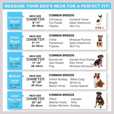 Show full view: Pawtitas Soft Adjustable Reflective Padded Dog Collar, Green, Small: 11 to 15-in neck, 5/8-in wide slide 8 of 12