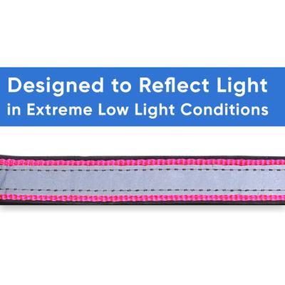 Show full view: Pawtitas Soft Adjustable Reflective Padded Dog Collar, Pink, Large/X-Large: 19 to 25-in neck, 1-in wide slide 4 of 12