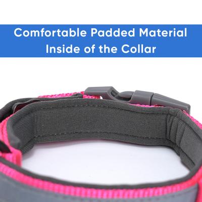 Show full view: Pawtitas Soft Adjustable Reflective Padded Dog Collar, Pink, Small: 11 to 15-in neck, 5/8-in wide slide 5 of 12