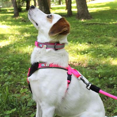 Show full view: Pawtitas Soft Adjustable Reflective Padded Dog Collar, Pink, XX-Small: 7 to 11-in neck, 5/8-in wide slide 2 of 12
