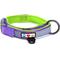 Show in main carousel: Pawtitas Soft Adjustable Reflective Padded Dog Collar, Purple, Large/X-Large: 19 to 25-in neck, 1-in wide slide 1 of 12